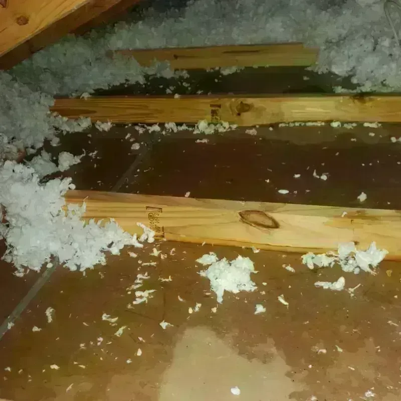 Attic Water Damage in West Sacramento, CA