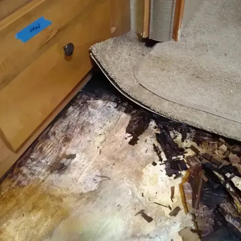 Wood Floor Water Damage in West Sacramento, CA